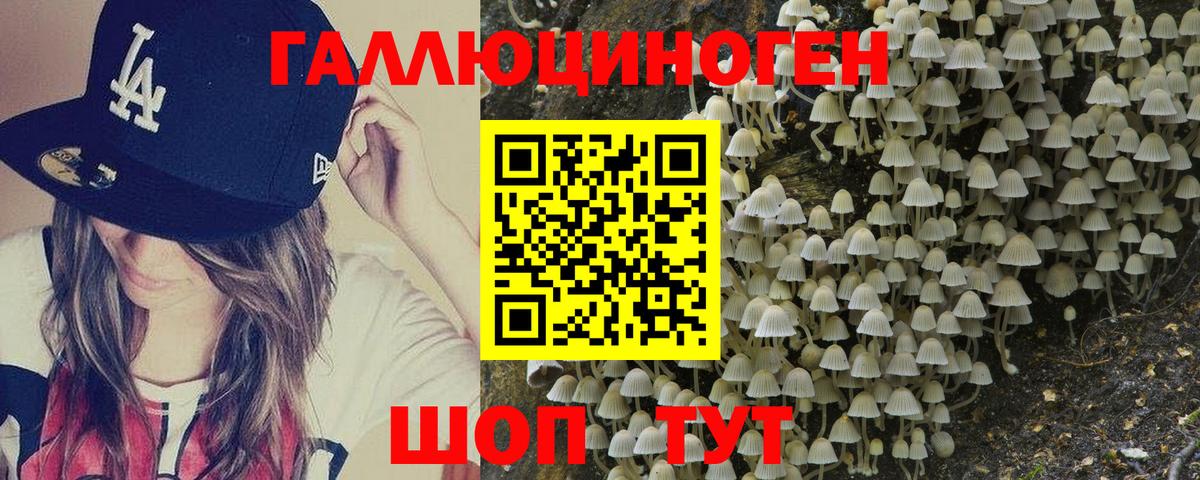 Псилоцибиновые грибы мухоморы  Псилоцибиновые грибы мицелий  Нальчик  Вход с VPN 