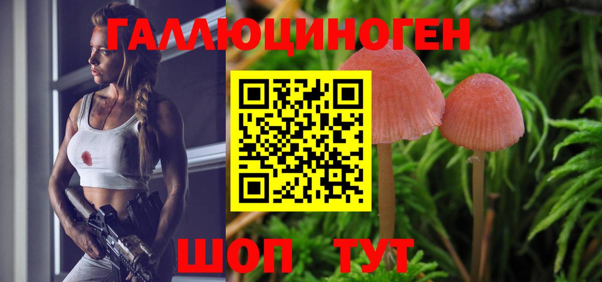 Галлюциногенные грибы мухоморы Нальчик